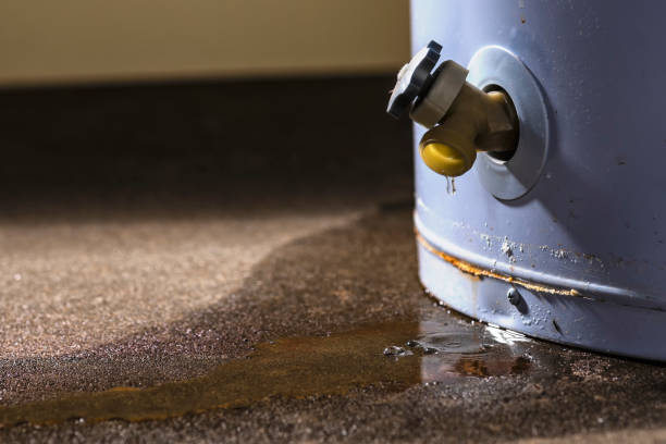 Best Residential water damage restoration  in Seminole, FL