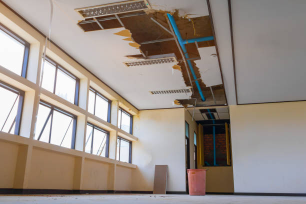 Best Water damage restoration company  in Seminole, FL