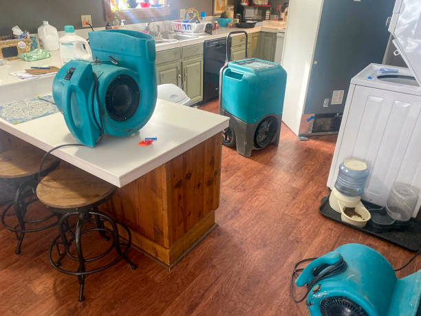 Best Flood damage cleanup  in Seminole, FL