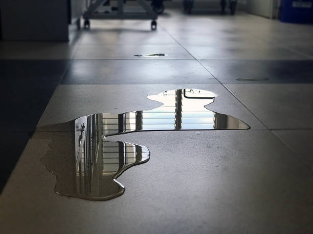 Best Carpet water damage restoration  in Seminole, FL