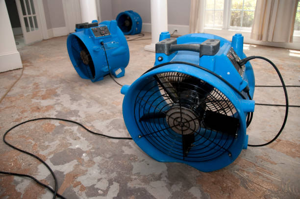 Best Emergency water damage restoration  in Seminole, FL