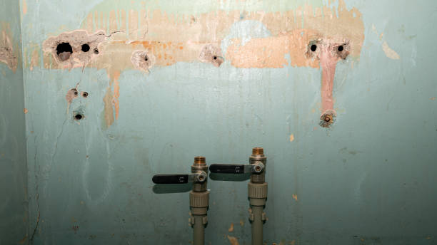  Seminole, FL Water damage restoration Pros