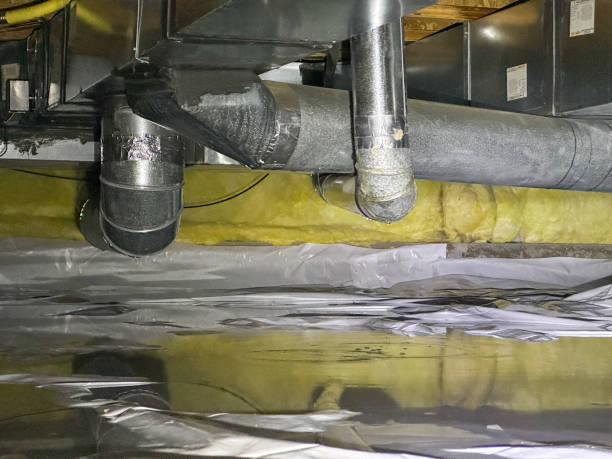 Best Ceiling water damage repair  in Seminole, FL