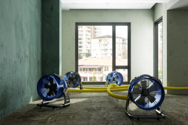 Best Professional water damage repair  in Seminole, FL