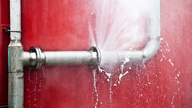 Best Flood damage cleanup  in Seminole, FL